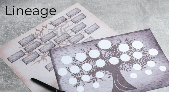 Does Lineage Matter in Brazilian Jiu Jitsu?